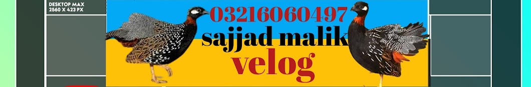 Sajjad malik velog