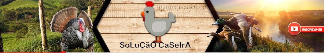 SoLuÇãO CaSeIrA