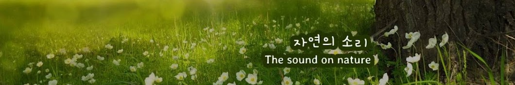 자연의 소리The sound of nature