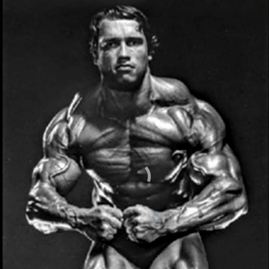 Arnold Schwarzenegger Armstrong