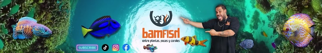 Bamfish