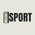 logo Sport Insight