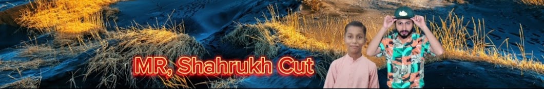 Mr Shahrukh Cut