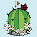 Corazón de Cactus