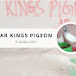 AR Kings Pigeon  21K views • 1 day ago