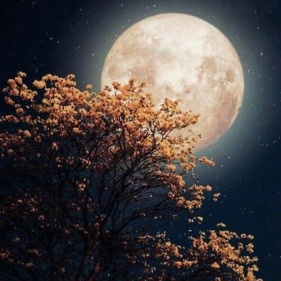Осень ночь Луна звезды