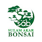 sulam Akar Bonsai