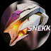 logo Snekk