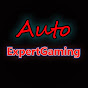 Auto Expert Gaming