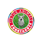 TikTok Animals- Funny and Cute