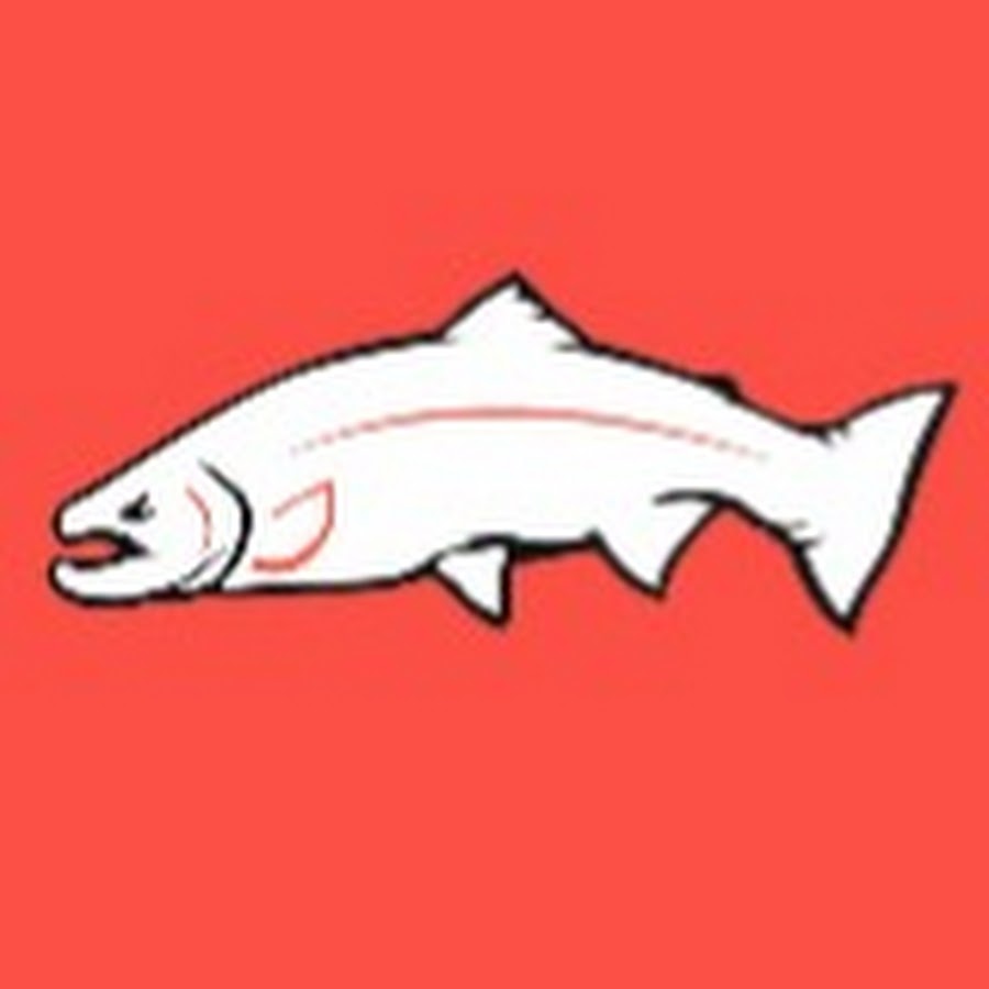 Blood Run Fishing (@bloodrunfishing) • Instagram photos and videos