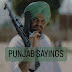 Punjab Sayings