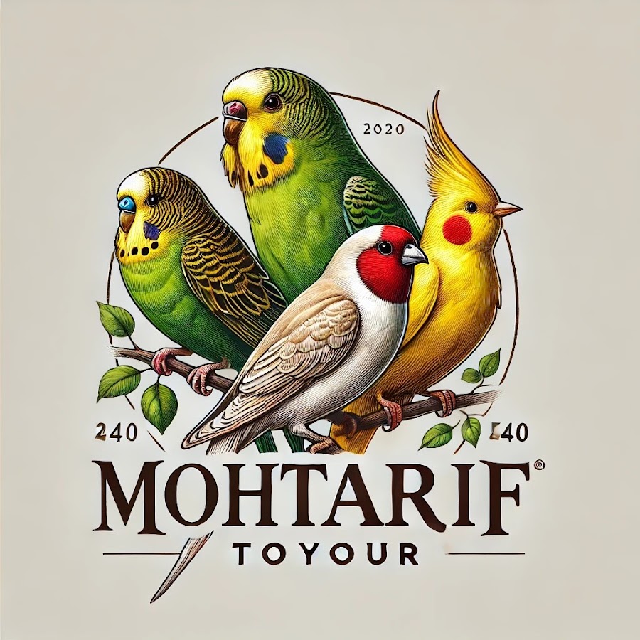 محترف الطيور Mohtarif toyour @mohtariftoyour