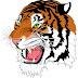 TCI Tigers