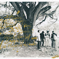 Artist Thumbnail
