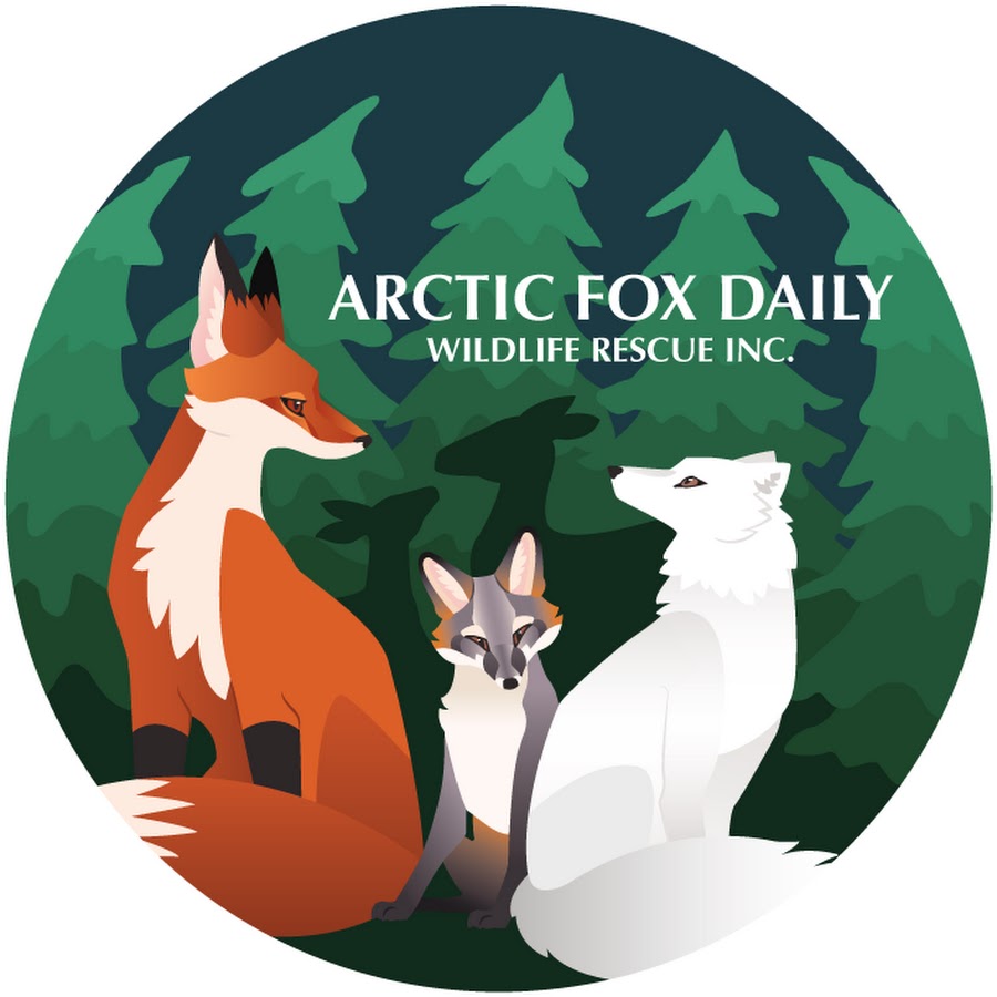 The Arctic fox is an icon of the - World Wildlife Fund