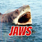 fjc_JAWS