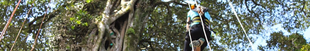 TreeTop Climbing Monteverde