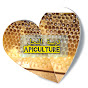 طرق تربية النحل Apiculture