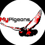 Mypigeons