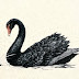 Black Swan Journals