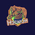 logo Нэсмон