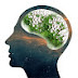 logo Darwin Ağacı