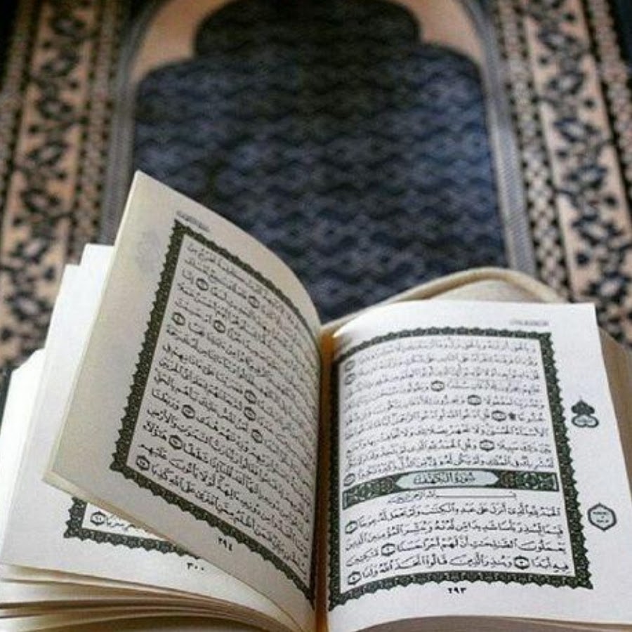 قناه القرآن الكريم  َ