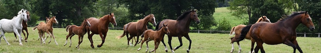 Julio l'Homme Cheval