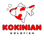 KOKINIAN GOLDFISH