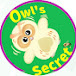 Owl 's Secret 