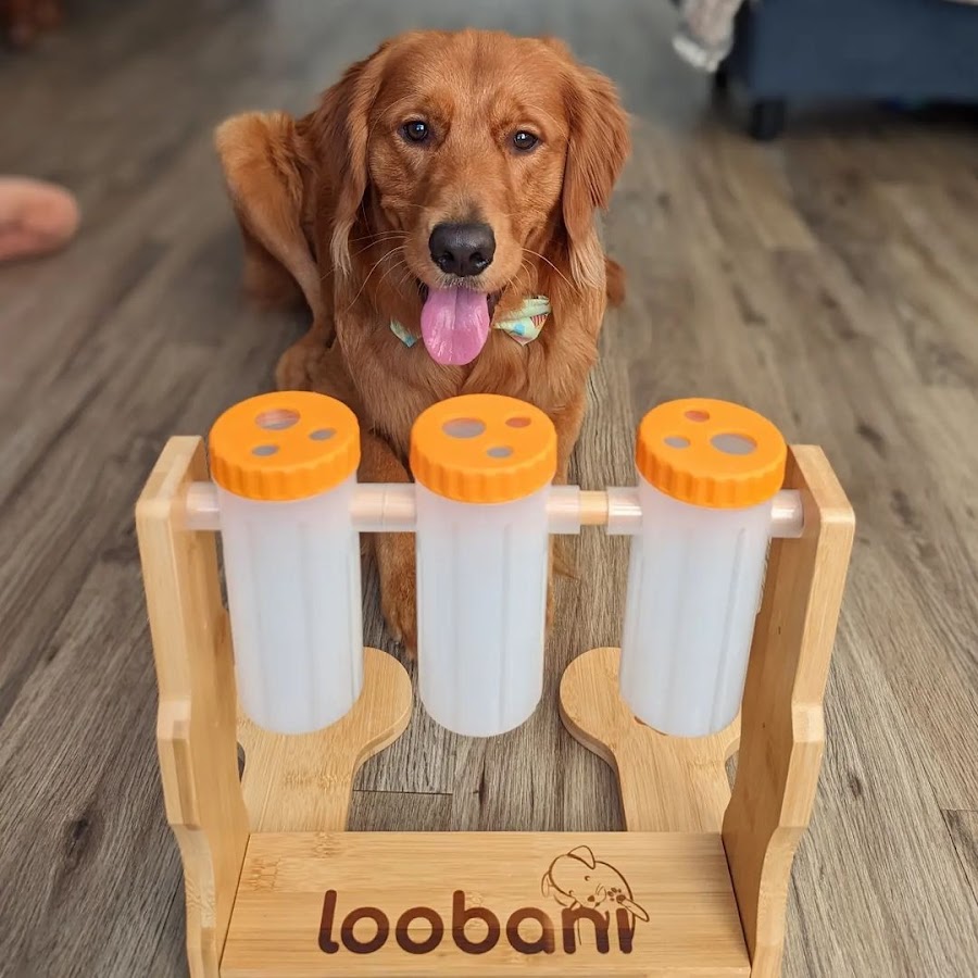  LOOBANI Dog Puzzle Toys Wooden - Interactive Dog Toys