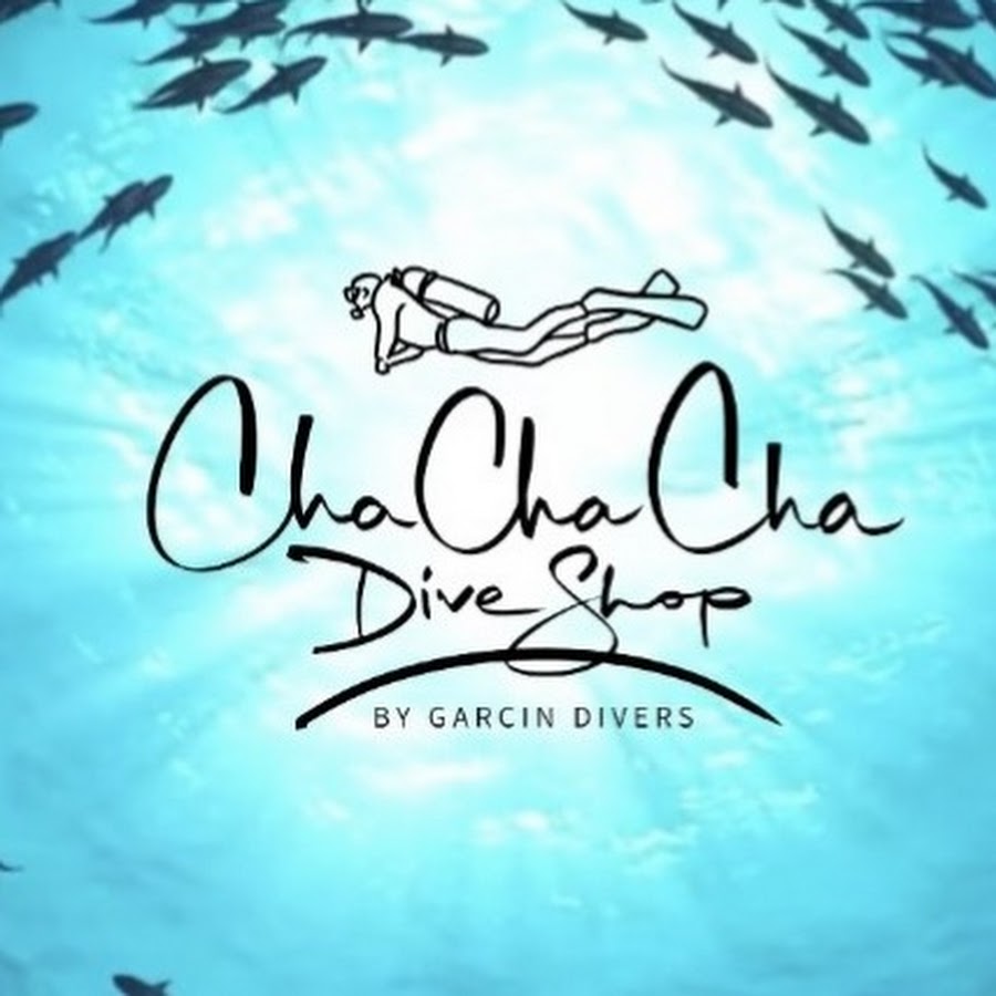 Cha Cha Cha Dive Shop Cozumel YouTube