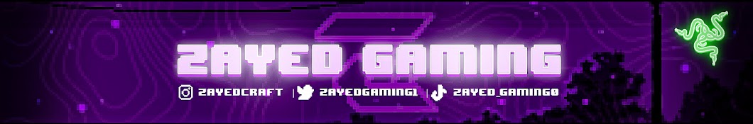 Zayed Gaming Banner