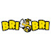 BriBri Racing