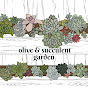 【Olive&Succulentgarden】