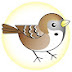 logo AL-USHFURIYAH