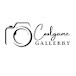 CoolGame Gallery