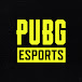 PUBG Esports KR