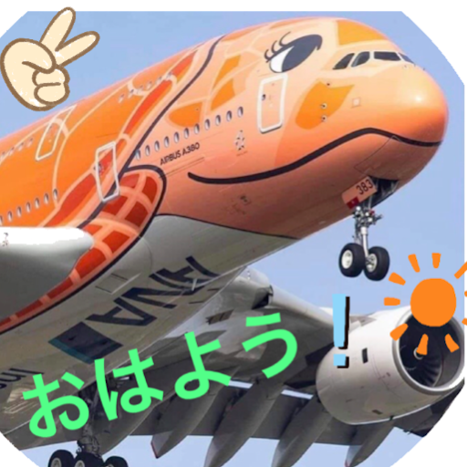 Captain Flying Honu