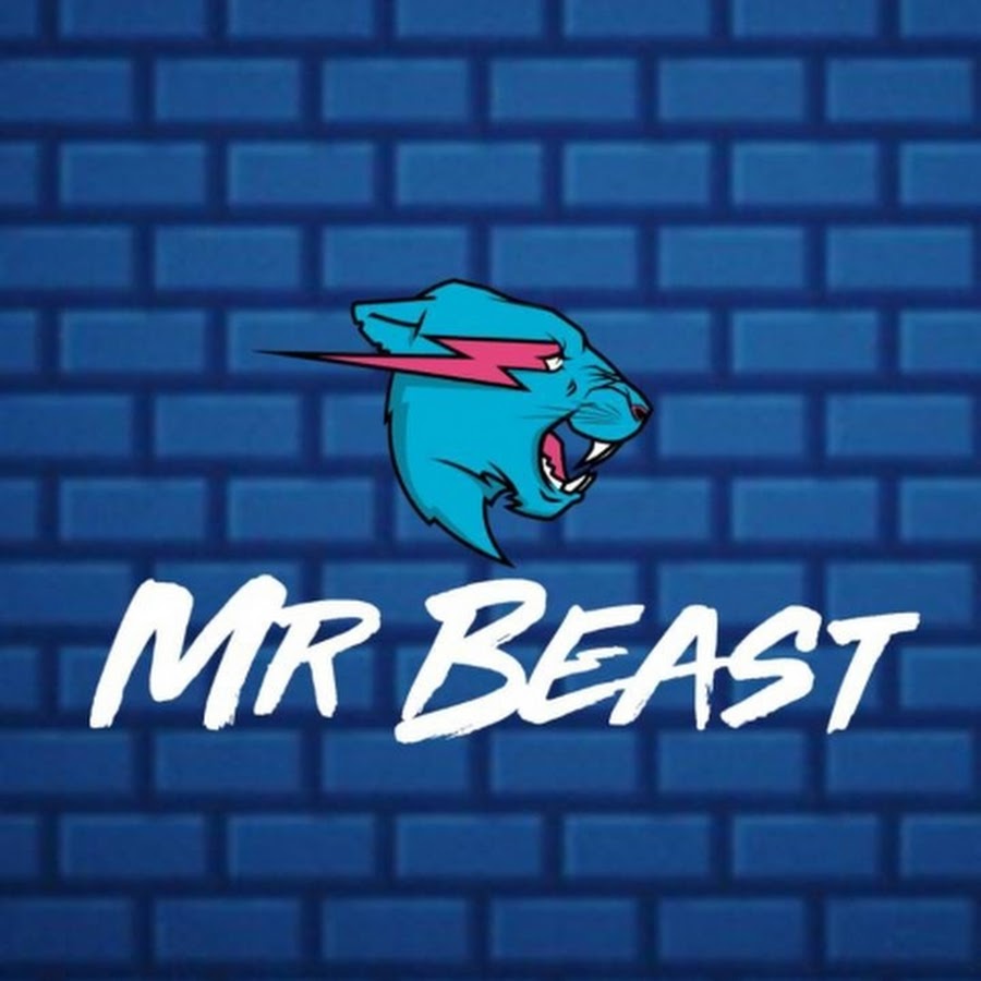Mr.beast fanpage