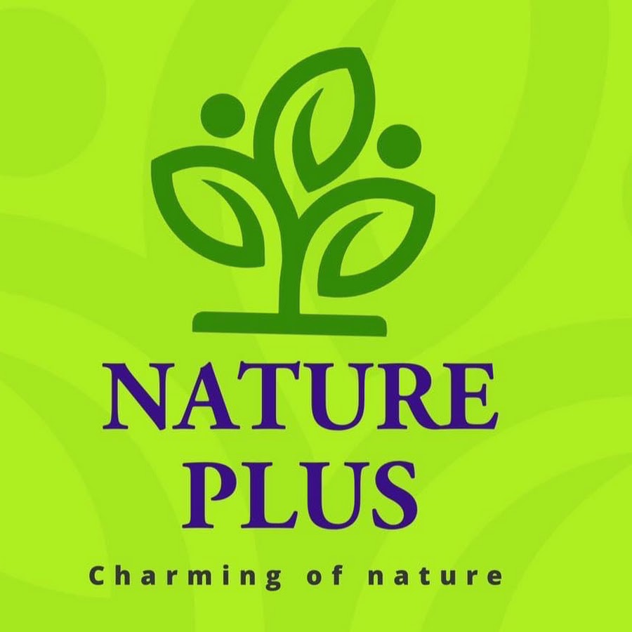 Nature Plus - YouTube Nature Plus 