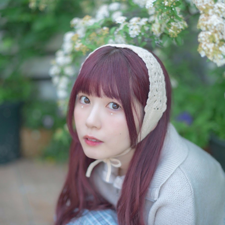 高品質 どみちゃんねる YouTube - ホビーラジコン