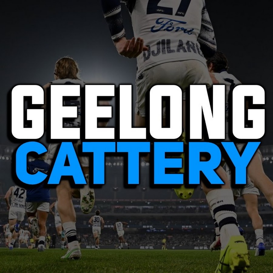 Geelong Cattery 
