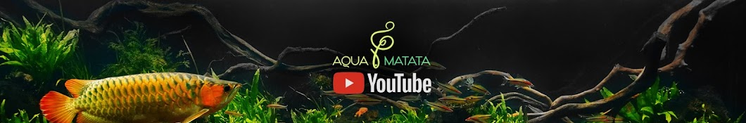 아쿠아 마타타 [Aqua Matata]