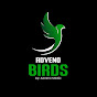 Adveno Birds