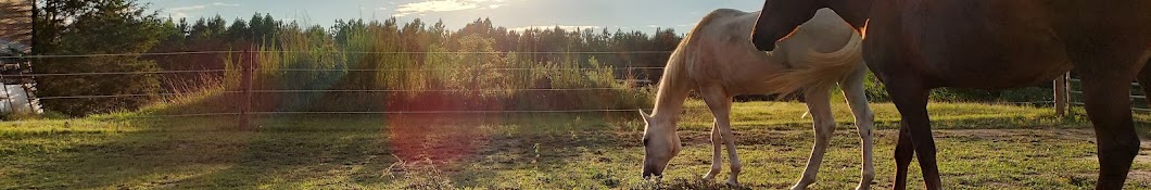 RH Farm Rescue and Stables