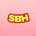 logo Sowbarnish