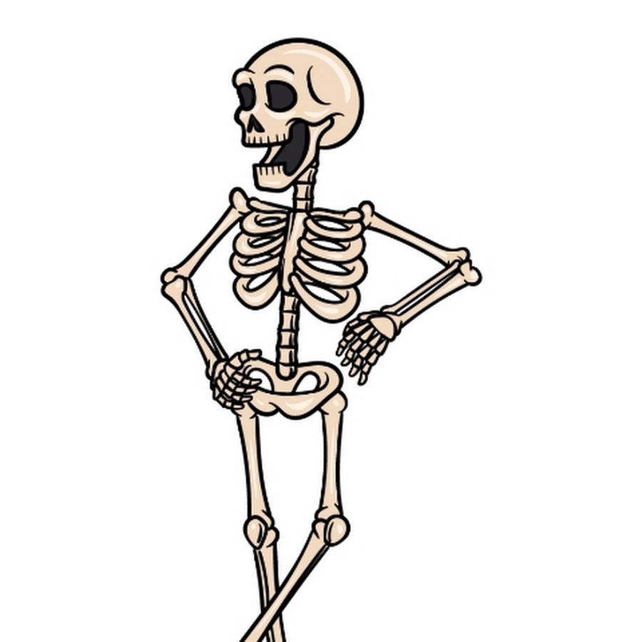 Рисунок скелет поэтапно