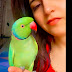 Zoomi Parrot